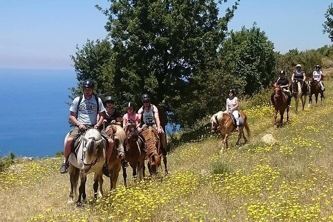 3 Hours Horse Back Riding Alanya - Good To Know