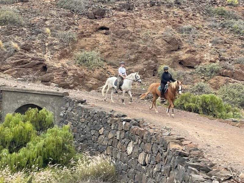 3 hours Horse Riding Tour to the Coast - Why This Tour Will Appeal to You