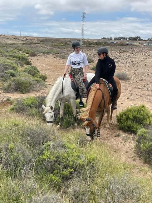 3 hours Horse Riding Tour to the Coast - The Value Proposition