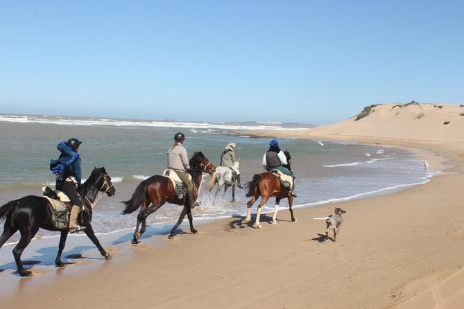3 Hours Horse Riding With Dinner and Overnight Berber Camp - Good To Know