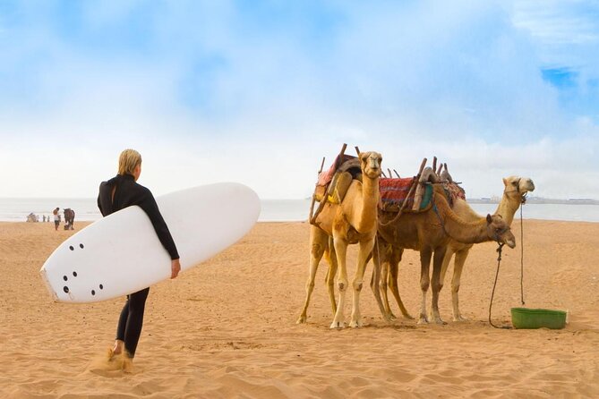 3 Hours Horse Riding With Dinner and Overnight Berber Camp - Important Information and Guidelines