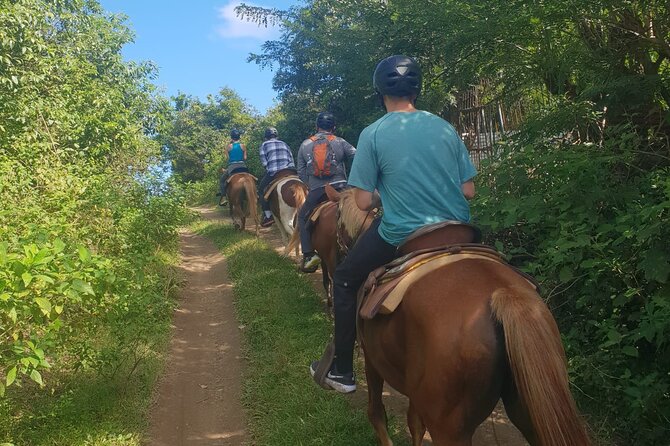 3 Hours Horseback Riding From Nature Trails to Sofa Stone - Exploring Sofa Stone and Its Surroundings