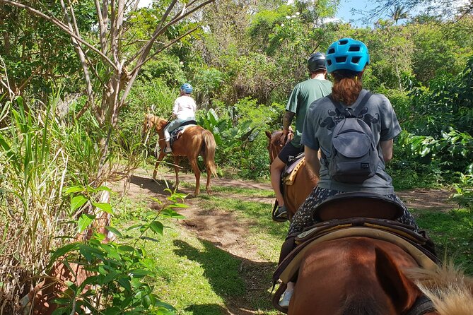 3 Hours Horseback Riding From Nature Trails to Sofa Stone - Common Questions