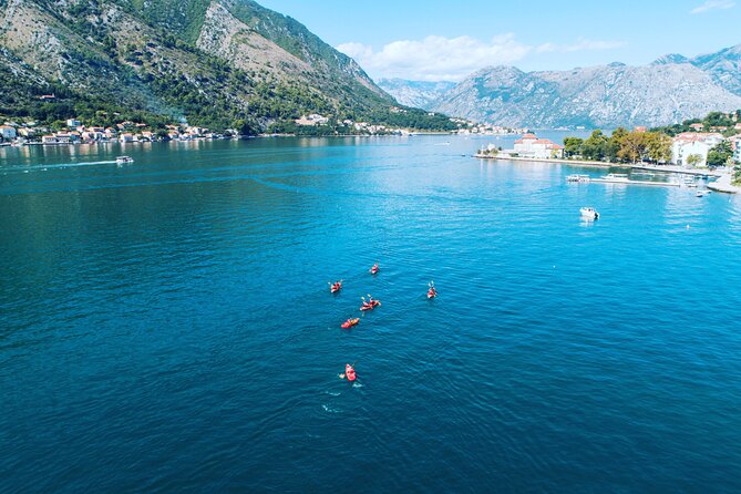 3 Hours Kayaking in Kotor Bay in Montenegro - The Sum Up