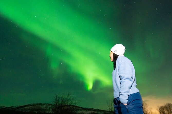 3 Hours Northern Lights Train With Guide - Northern Lights Viewing Experience