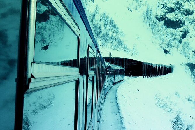 3 Hours Northern Lights Train With Guide - Expert Guided Commentary