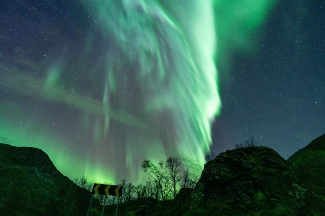 3 Hours Northern Lights Train With Guide - The Sum Up