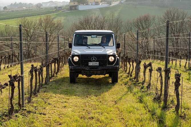 3-Hours of Activities With Safari Grand Tour and Tasting in Vineyards - Vineyard Tasting Experience