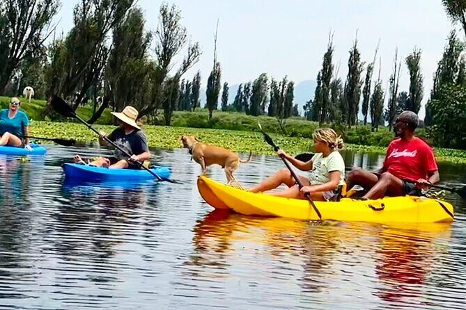 3 Hours of Kayaking at the Ancient Canals of Xochimilco - Who Should Consider This Tour?