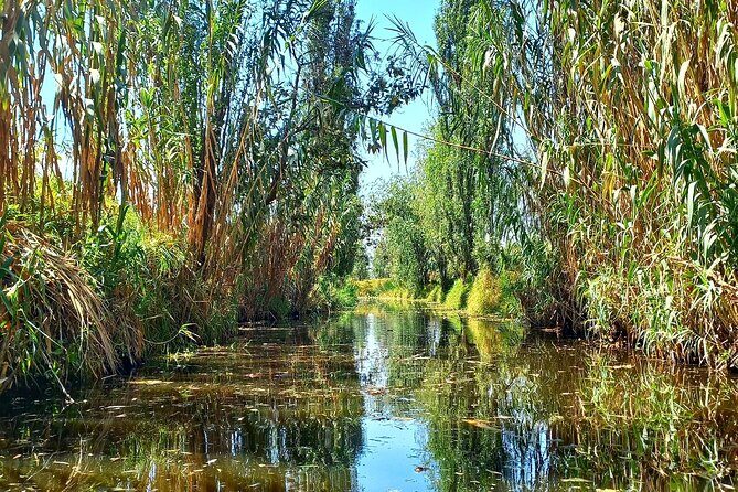 3 Hours of Kayaking at the Ancient Canals of Xochimilco - The Sum Up