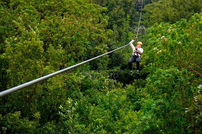 3 Hours of the Longest and Highest Extreme Zip Line Experience in Monteverde - Logistics and Guidelines
