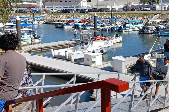 3 Hours of Whale Watching in Puerto Vallarta - FAQ