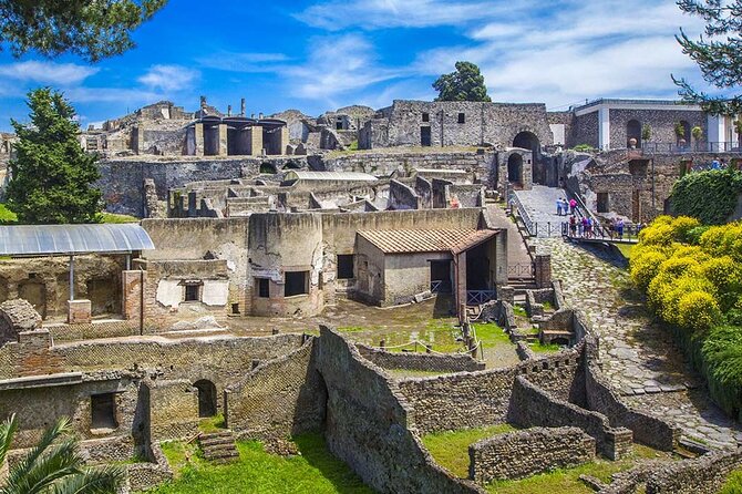 3 Hours Private and Guided Tour of the Excavations in Pompeii - Inclusions and Meeting Point