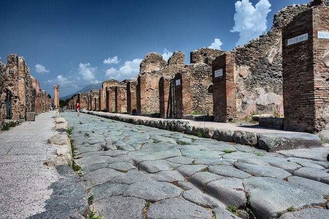 3 Hours Private and Guided Tour of the Excavations in Pompeii - Additional Information
