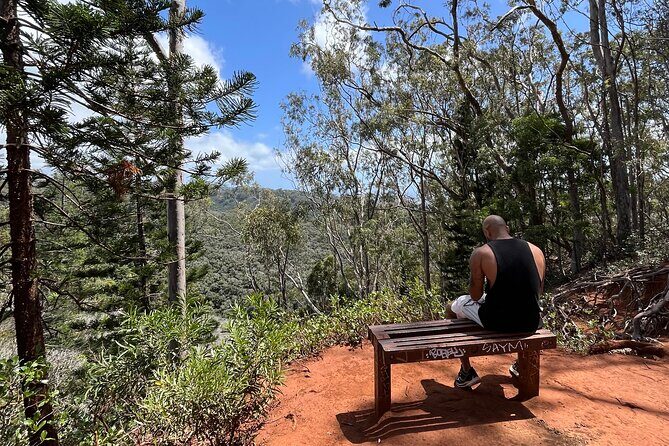 3 Hours Private Hiking and Bushwalking in the Aiea Loop Trail - Practical Considerations