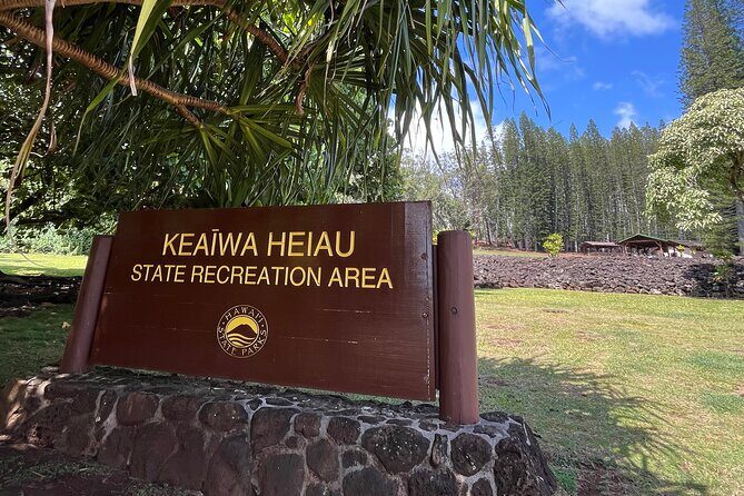3 Hours Private Hiking and Bushwalking in the Aiea Loop Trail - Final Thoughts