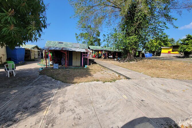 3 Hours Private Ocho Rios highlight - Introduction: Why This Tour Might Be Just What You Need