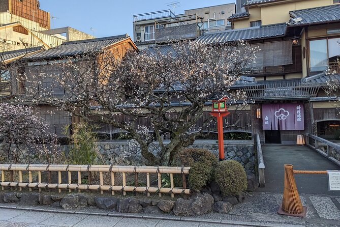 3 Hours Private Walking Tour in Kyoto, Japan - Booking and Pricing