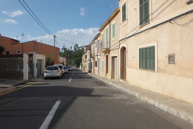 3 Hours Quad Tour From Paguera - Tour Details