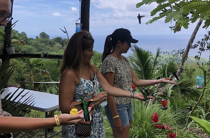 3 Hours Rainforest Walk in Tobago (Private) Lunch + Hummingbirds - Practical Tips for Making the Most of This Tour