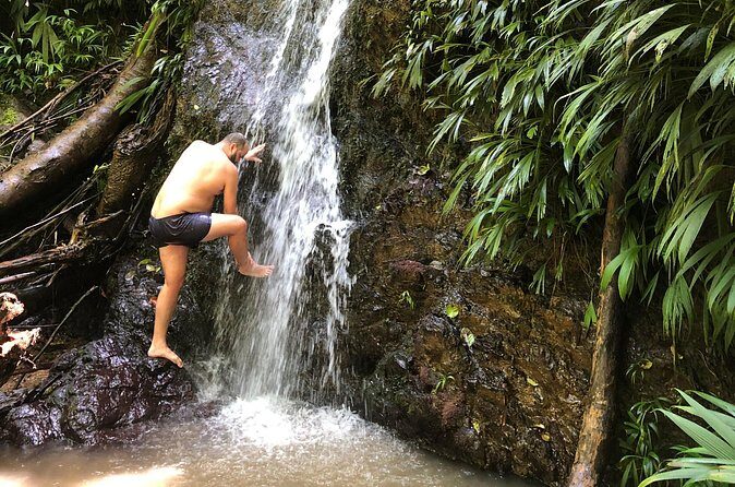 3 Hours Rainforest Walk in Tobago (Private) Lunch + Hummingbirds - Final Word