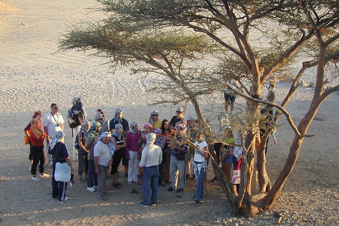3 Hours Safari Afternoon By ATV Quad & Camel Ride With Transfer - Marsa Alam - Reservation & Payment