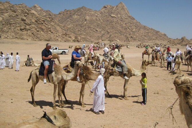 3 Hours Safari by ATV Quad Bike and Camel Ride With Transfer - Hurghada - The Sum Up