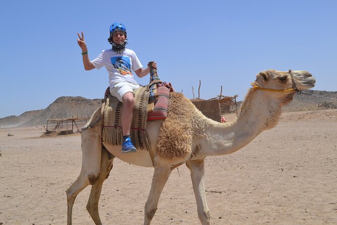 3 Hours Safari by ATV Quad Bike & Camel Ride Transfer to El Gouna - Safari Experience Details