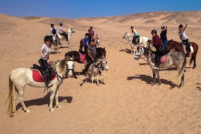 3 Hours Sea Horse Riding Adventure With Swimming in Hurghada - Important Information