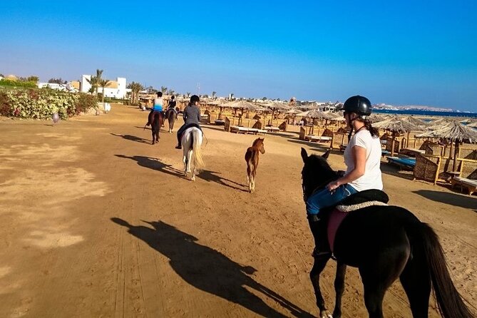 3 Hours Sea Horse Riding Adventure With Swimming in Hurghada - Booking and Cancellation Policy