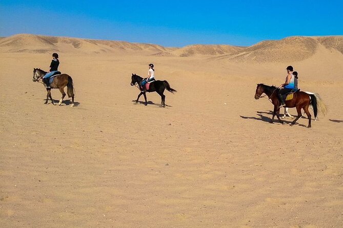 3 Hours Sea Horse Riding Adventure With Swimming in Hurghada - Frequently Asked Questions