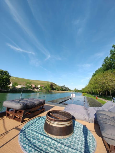3 Hours Semi Private Solar Boat Cruise in Champagne - Unique Scenic Routes and Sights