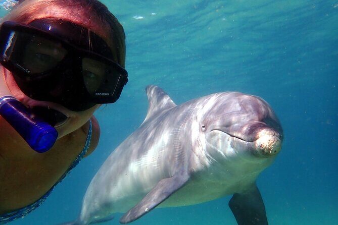 3 Hours Shell Island Experience - Setting the Scene: What You Can Expect During This Tour  