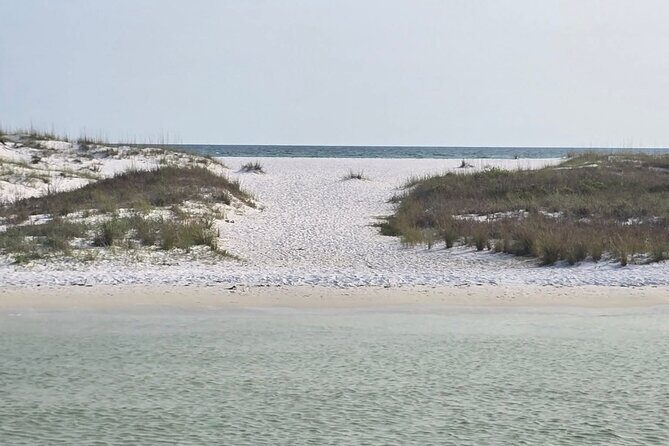 3 Hours Shell Island Experience - What the Reviews Say (and What They Tell Us)  