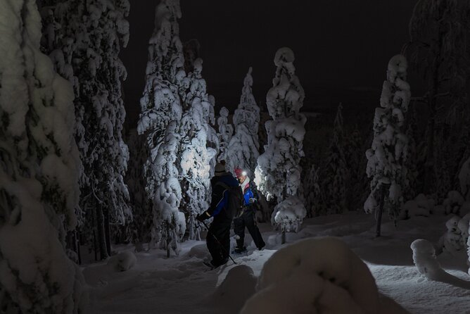 3-Hours Small-Group Ski Trekking by Night Experience - Confirmation and Availability Details