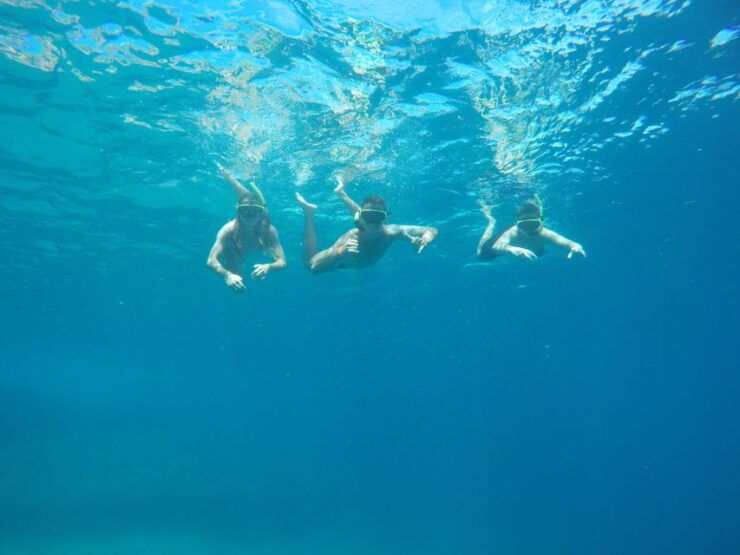 3 Hours Snorkel and Swim With Turtles Tour at Tijuca Islands - Tour Highlights
