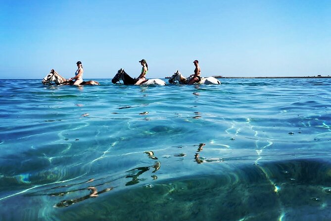 3 Hours Swimming By Horse in Red Sea Riding on the Beach and Dessert - Hurghada - Experience Overview