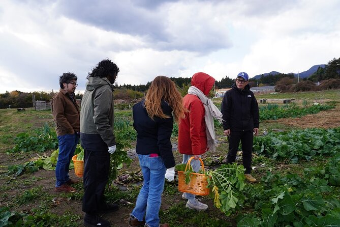 3 Hours Vegetables Harvest Activity in Jumonji Village - Activity Overview