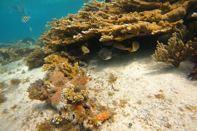 3 Hours VIP Semiprivate Tour Isla Mujeres Full Snorkeling Experience - Cancellation Policy and Refund Details