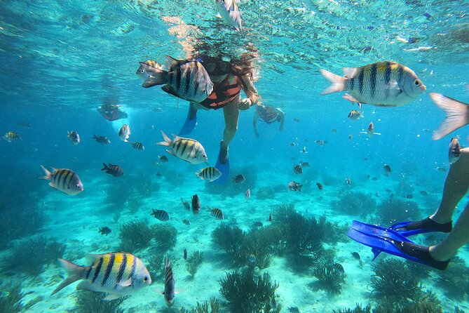 3 Hours VIP Semiprivate Tour Isla Mujeres Full Snorkeling Experience - Common Questions