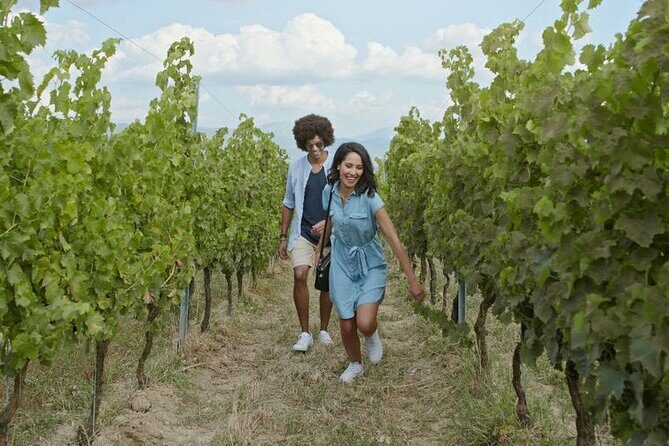 3 hours Wine Tour in Niagara-on-the-Lake - The Tasting Experience