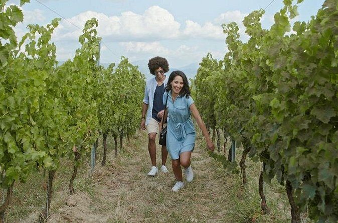 3 hours Wine Tour in Niagara-on-the-Lake - Who is this tour best suited for?