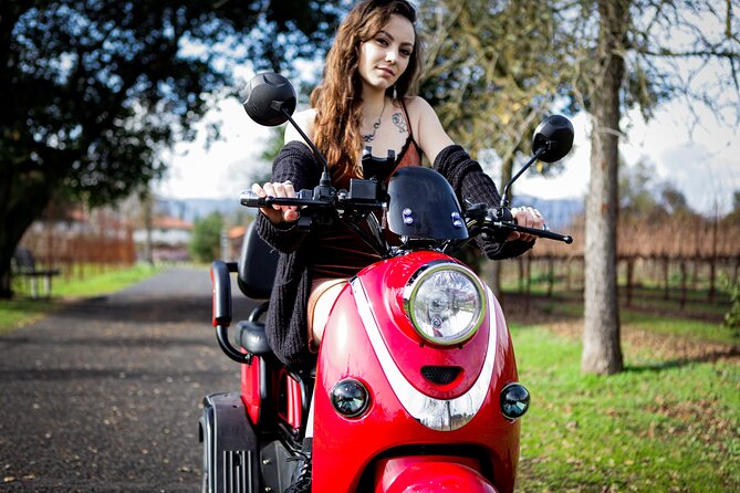 3 Hr Guided Wine Country Tour in Sonoma on Electric Trike (2 Person Min) - Tour Guide Excellence