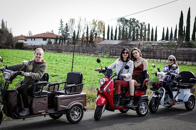3 Hr Guided Wine Country Tour in Sonoma on Electric Trike (2 Person Min) - The Sum Up