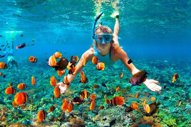 3 hrs Glass Boat Tour in Punta Cana - The Good, the Bad, and the Realities