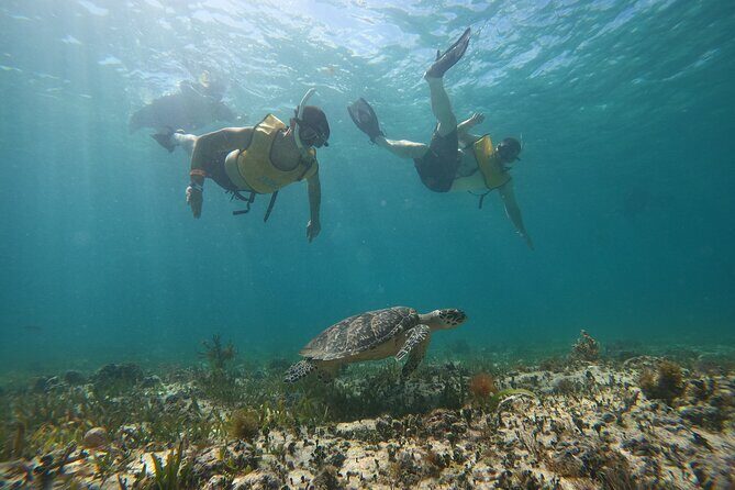 3 in 1 Catamaran Tour to Isla Mujeres from Cancun All Inclusive - Who Should Book This Tour?