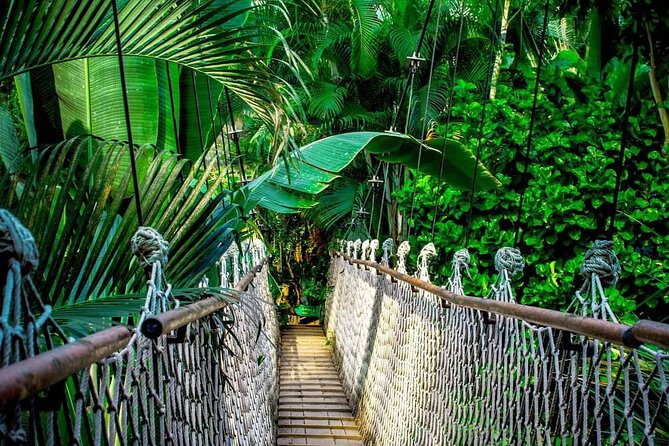 3 in 1 Combo: La Fortuna Waterfall, Hanging Bridges, Thermal Spa From San José - Tour Itinerary and Schedule