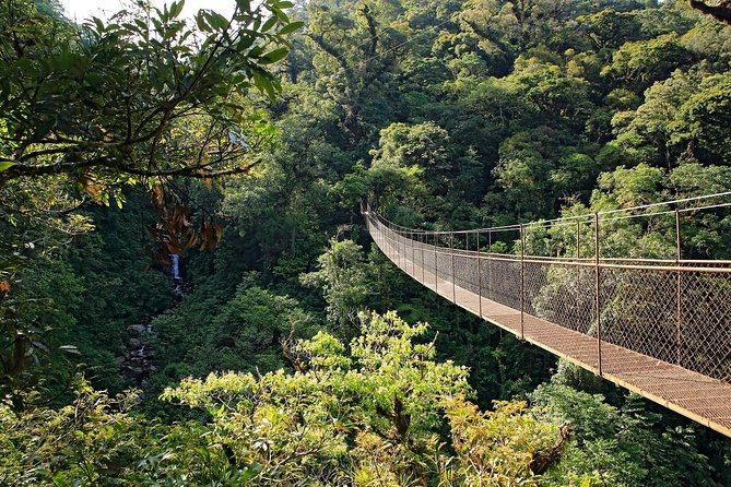 3 in 1 Eco Tour Rain Forest Aerial Tram, River Cruise & Nature Walk Private Tour - Frequently Asked Questions