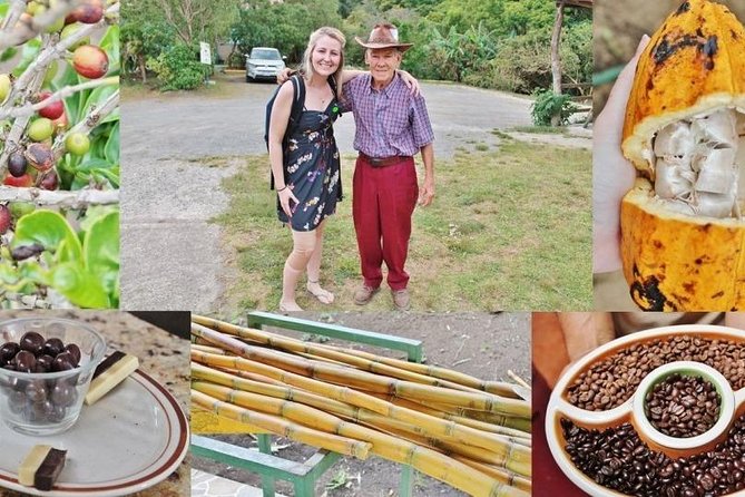 3-in-1 Monteverde Cloud Forest Coffee, Chocolate and Sugar Cane Tour - Tour Highlights