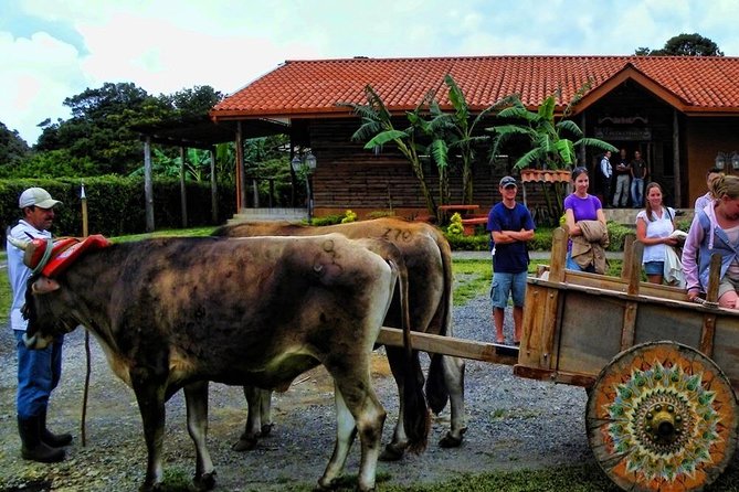 3-in-1 Monteverde Cloud Forest Coffee, Chocolate and Sugar Cane Tour - What to Expect